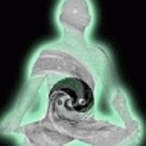 Meet your Posher, Loretta